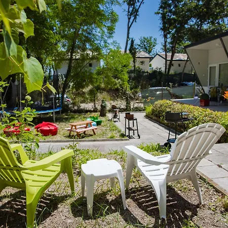 Kemp албатрос *