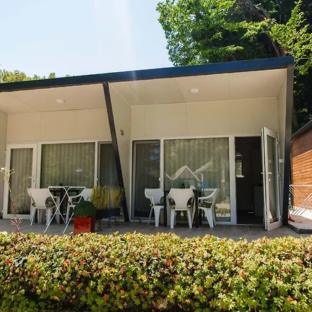 албатрос * Varna