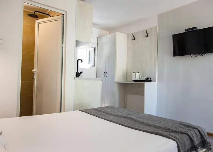 албатрос Varna