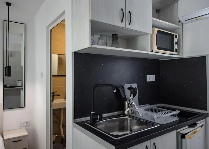 албатрос Varna