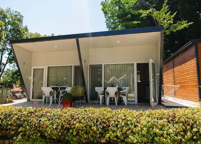 албатрос * Varna